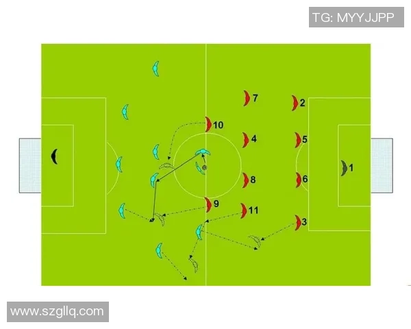 武汉足球队总决赛表现分析:经验与战术的完美结合